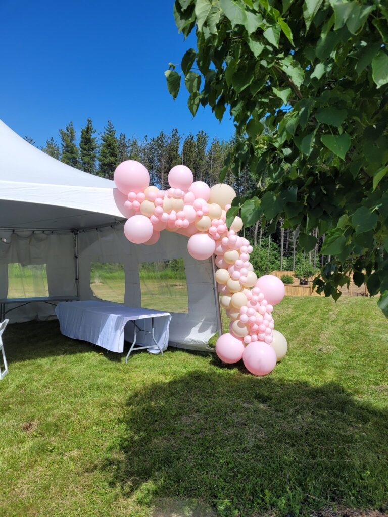 pink balloon garland outdoor party